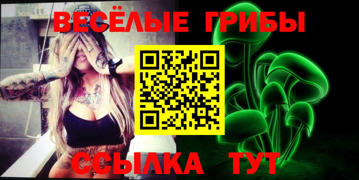 Галлюциногенные грибы Magic Shrooms Дербент