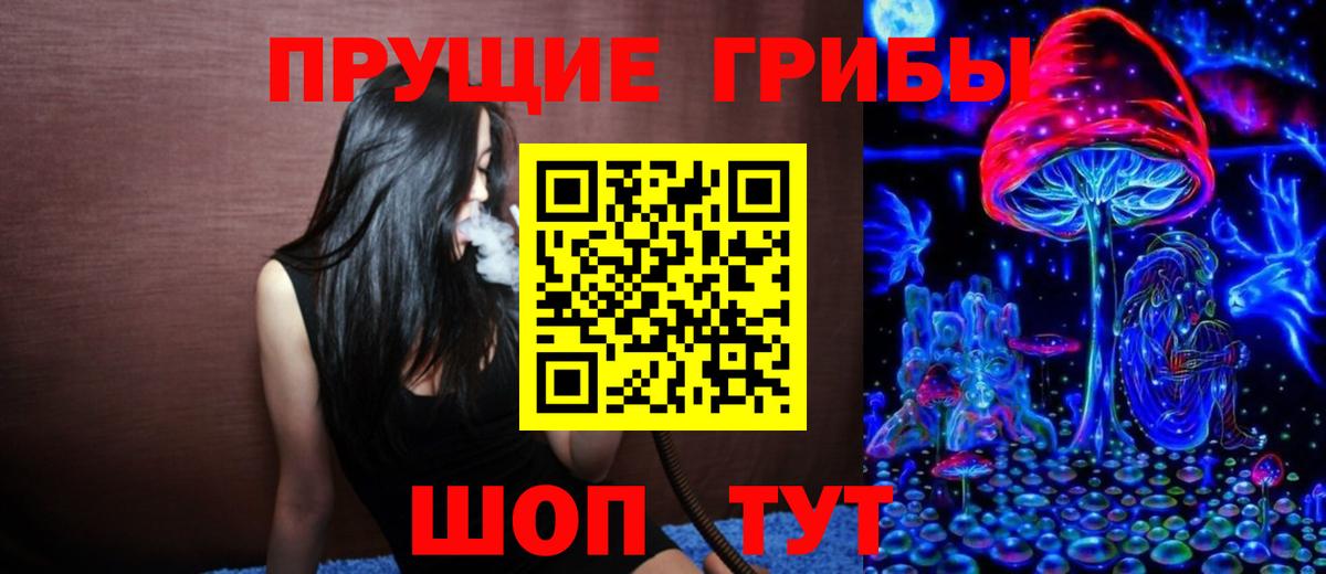 Дербент  Галлюциногенные грибы Cubensis  Вход с VPN  как найти наркотики  Псилоцибиновые грибы GOLDEN TEACHER 